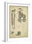 Chelsea White
