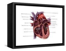 Chambers of the Heart-Evan Oto-Framed Stretched Canvas