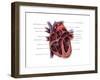 Chambers of the Heart-Evan Oto-Framed Art Print