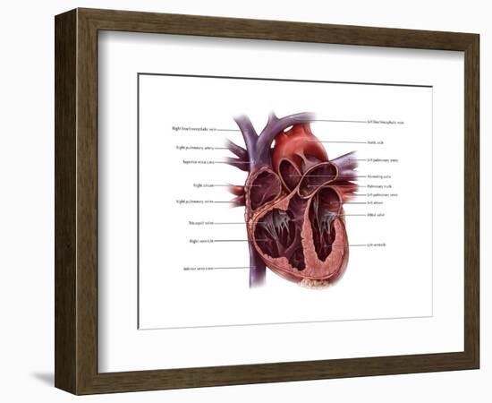 Chambers of the Heart-Evan Oto-Framed Art Print