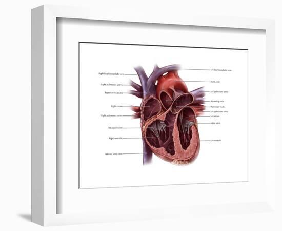 Chambers of the Heart-Evan Oto-Framed Art Print