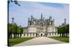 Chambord Castle is Located in Loir-Et-Cher, France. it Has A Very Distinct French Renaissance Archi-perszing1982-Stretched Canvas