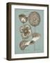 Chambray Chintz III-null-Framed Art Print