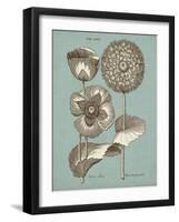 Chambray Chintz III-null-Framed Art Print