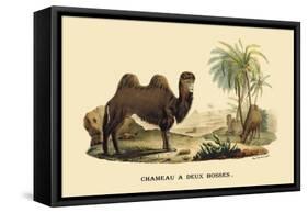 Chameau a Deux Bosses-E.f. Noel-Framed Stretched Canvas