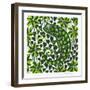 Chameleon, 2003-Nat Morley-Framed Giclee Print