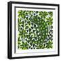 Chameleon, 2003-Nat Morley-Framed Giclee Print