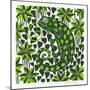 Chameleon, 2003-Nat Morley-Mounted Giclee Print
