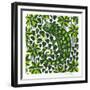 Chameleon, 2003-Nat Morley-Framed Giclee Print