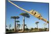 Chameleon, Avenue of Baobabs, Madagascar-Paul Souders-Mounted Premium Photographic Print