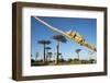 Chameleon, Avenue of Baobabs, Madagascar-Paul Souders-Framed Photographic Print