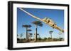 Chameleon, Avenue of Baobabs, Madagascar-Paul Souders-Framed Photographic Print