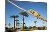 Chameleon, Avenue of Baobabs, Madagascar-Paul Souders-Mounted Photographic Print