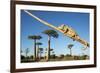 Chameleon, Avenue of Baobabs, Madagascar-Paul Souders-Framed Photographic Print