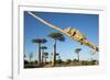 Chameleon, Avenue of Baobabs, Madagascar-Paul Souders-Framed Photographic Print