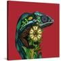 Chameleon Red-Sharon Turner-Stretched Canvas