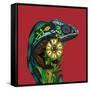 Chameleon Red-Sharon Turner-Framed Stretched Canvas