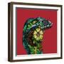 Chameleon Red-Sharon Turner-Framed Art Print