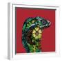 Chameleon Red-Sharon Turner-Framed Art Print