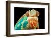 Chameleon-Mark Bridger-Framed Photographic Print