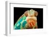 Chameleon-Mark Bridger-Framed Premium Photographic Print