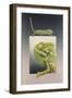 Chameleon-Harro Maass-Framed Giclee Print