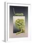 Chameleon-Harro Maass-Framed Giclee Print