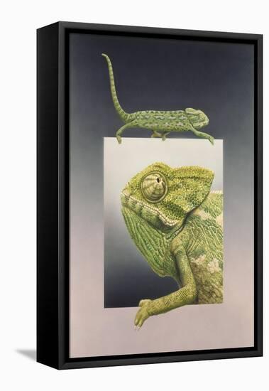 Chameleon-Harro Maass-Framed Stretched Canvas