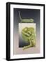 Chameleon-Harro Maass-Framed Premium Giclee Print