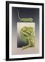 Chameleon-Harro Maass-Framed Giclee Print