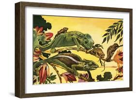 Chameleon-English School-Framed Giclee Print