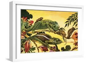 Chameleon-English School-Framed Giclee Print