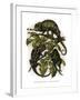 Chameleon-null-Framed Giclee Print