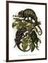 Chameleon-null-Framed Premium Giclee Print