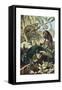 Chameleons or Chamaeleons by Alfred Edmund Brehm-Stefano Bianchetti-Framed Stretched Canvas