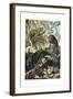 Chameleons or Chamaeleons by Alfred Edmund Brehm-Stefano Bianchetti-Framed Giclee Print