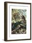 Chameleons or Chamaeleons by Alfred Edmund Brehm-Stefano Bianchetti-Framed Giclee Print