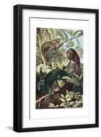 Chameleons or Chamaeleons by Alfred Edmund Brehm-Stefano Bianchetti-Framed Giclee Print