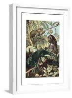 Chameleons or Chamaeleons by Alfred Edmund Brehm-Stefano Bianchetti-Framed Giclee Print