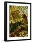 Chameleons-F.W. Kuhnert-Framed Art Print