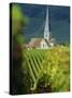 Chamery, Montagne De Reims, Champagne, France, Europe-John Miller-Stretched Canvas