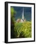 Chamery, Montagne De Reims, Champagne, France, Europe-John Miller-Framed Photographic Print