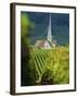 Chamery, Montagne De Reims, Champagne, France, Europe-John Miller-Framed Photographic Print