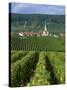 Chamery, Montagne De Reims, Champagne, France, Europe-Miller John-Stretched Canvas