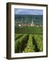 Chamery, Montagne De Reims, Champagne, France, Europe-Miller John-Framed Photographic Print