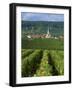 Chamery, Montagne De Reims, Champagne, France, Europe-Miller John-Framed Photographic Print