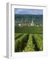 Chamery, Montagne De Reims, Champagne, France, Europe-Miller John-Framed Photographic Print