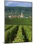 Chamery, Montagne De Reims, Champagne, France, Europe-Miller John-Mounted Photographic Print