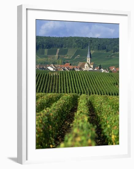 Chamery, Montagne De Reims, Champagne, France, Europe-Miller John-Framed Photographic Print