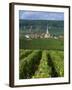 Chamery, Montagne De Reims, Champagne, France, Europe-Miller John-Framed Photographic Print